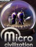 Microcivilization
